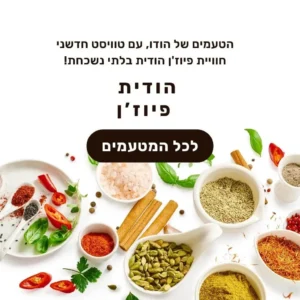 בניית אתר תדמית