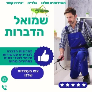 בניית אתר תדמית